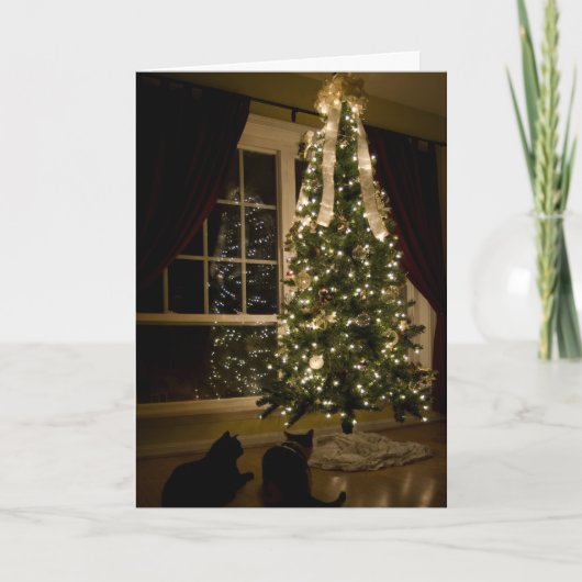 Kerstmis van Meowy Feestdagen Kaart (Voorkant)