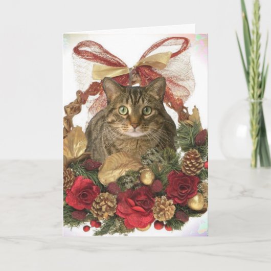 Kerstmis van Meowy! Feestdagen Kaart (Voorkant)