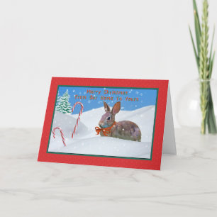 Kerstmis, van Ons Huis, Konijn, Sneeuw, het Riet Feestdagen Kaart