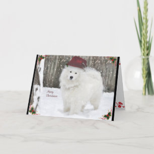 Kerstmis van Sammie gevouwen Card 5X7 Kaart
