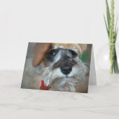 Kerstmis van Schnauzer Feestdagen Kaart (Voorkant)