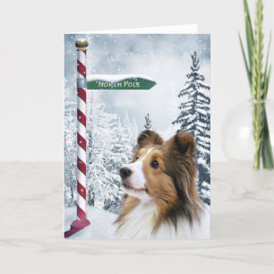 Kerstmis van Sheltie Feestdagen Kaart
