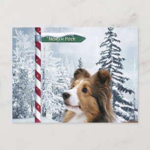 Kerstmis van Sheltie Feestdagenkaart