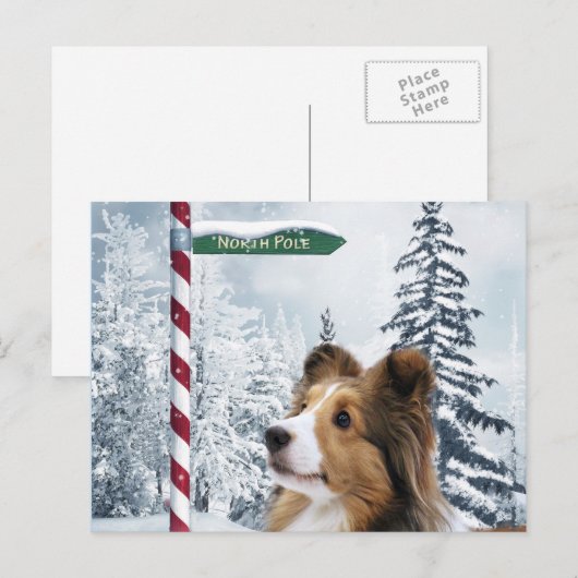 Kerstmis van Sheltie Feestdagenkaart (Voorkant / Achterkant)