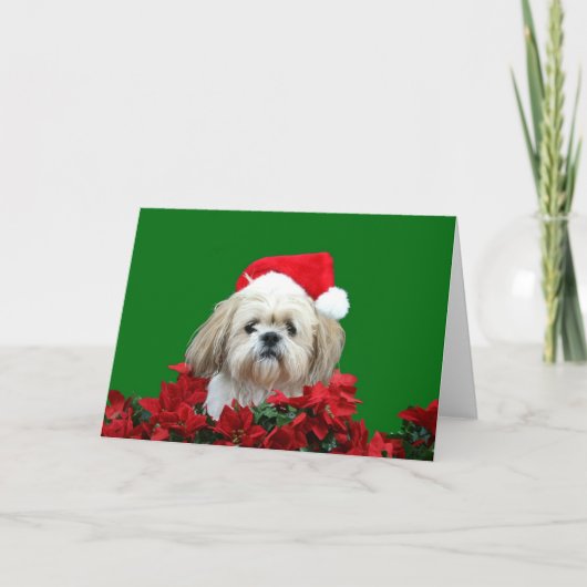 Kerstmis van Tzu van Shih Feestdagen Kaart (Voorkant)