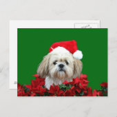 Kerstmis van Tzu van Shih Feestdagenkaart (Voorkant / Achterkant)