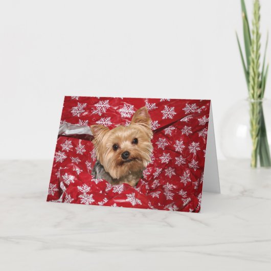Kerstmis van Yorkie Feestdagen Kaart (Voorkant)