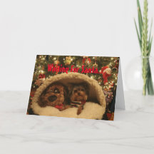 Kerstmis van Yorkie