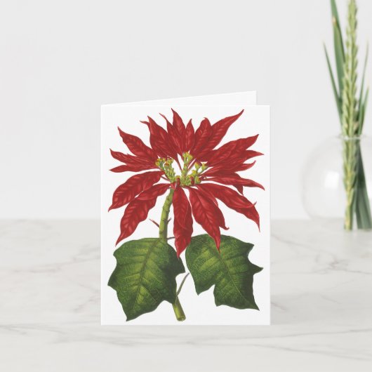 Kerstmis Vintage Bedankt (Voorkant)