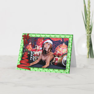 Kerstmis - Vizsla - Budda Feestdagen Kaart