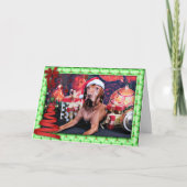 Kerstmis - Vizsla - Budda Feestdagen Kaart (Voorkant)