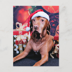 Kerstmis - Vizsla - Budda Feestdagenkaart