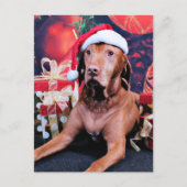 Kerstmis - Vizsla - Budda Feestdagenkaart (Voorkant)