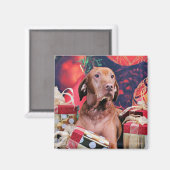 Kerstmis - Vizsla - Budda Magneet (Voorkant / Achterkant)