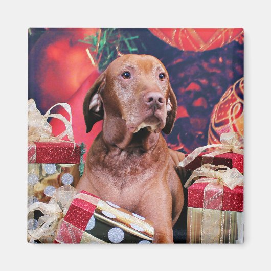 Kerstmis - Vizsla - Budda Magneet (Voorkant)