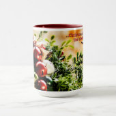 Kerstmis voor de Mok van de vogelkoffie (Midden)