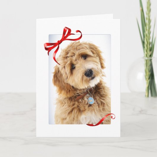 Kerstmis voor Doodle Dog Kaart (Voorkant)