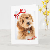 Kerstmis voor Doodle Dog Kaart (Gele Bloem)