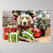 Kerstmis - Weimaraner - Lucy Poster (Voorkant)