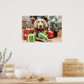Kerstmis - Weimaraner - Lucy Poster (Keuken)