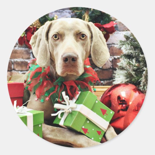 Kerstmis - Weimaraner - Lucy Ronde Sticker (Voorkant)