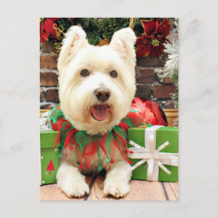 Kerstmis - Westie - Lucky Feestdagenkaart