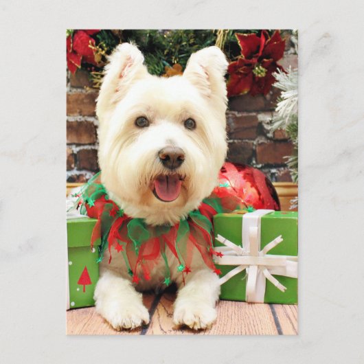 Kerstmis - Westie - Lucky Feestdagenkaart (Voorkant)
