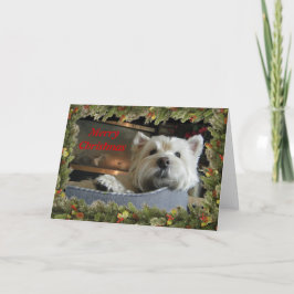Kerstmis Westie met het Wenskaart van de Foto van Feestdagen Kaart