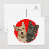 Kerstmis Wheaten & Black Scotties Feestdagenkaart (Voorkant / Achterkant)