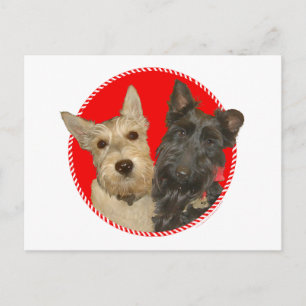 Kerstmis Wheaten & Black Scotties Feestdagenkaart