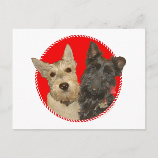 Kerstmis Wheaten & Black Scotties Feestdagenkaart (Voorkant)