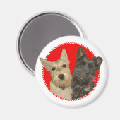 Kerstmis Wheaten & Black Scotties Magneet (Voorkant / Achterkant)