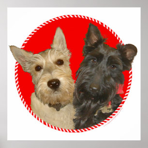 Kerstmis Wheaten & Black Scotties Poster