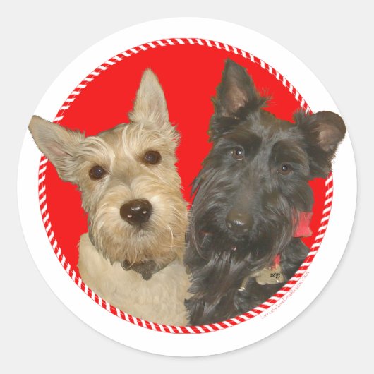 Kerstmis Wheaten & Black Scotties Ronde Sticker (Voorkant)