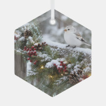Kerstmis Winter Sneeuwvink