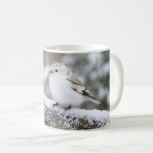 Kerstmis Winter Sneeuwvink