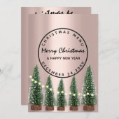 Kerstmis winterfeestdag lichtgroen Roos Menu (Voorkant / Achterkant)