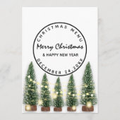 Kerstmis winterfeestdag lichtgroen Wit Menu (Voorkant)