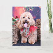 Kerstmis - Wriggly Cockapoo - Feestdagen Kaart (Voorkant)