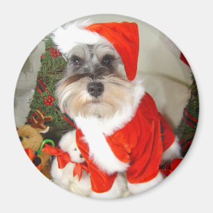 Kerstmis X'Mas Miniature Schnauzer Magneet