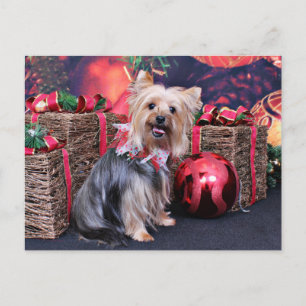 Kerstmis - Yorkie - Abby Feestdagenkaart
