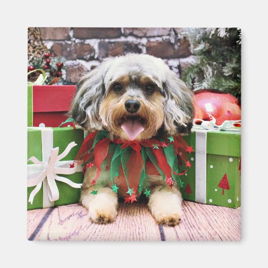 Kerstmis - YorkiPoo - Oliver Magneet (Voorkant)