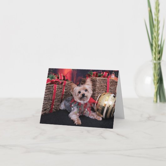 Kerstmis - Yorkshire Terrier - Vinnie Feestdagen Kaart (Voorkant)