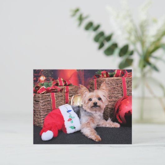 Kerstmis - Yorkshire Terrier - Vinnie Feestdagenkaart (Staand voorkant)