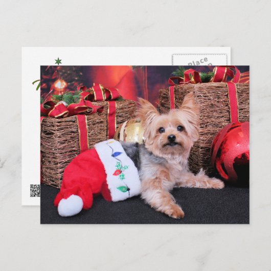 Kerstmis - Yorkshire Terrier - Vinnie Feestdagenkaart (Voorkant / Achterkant)