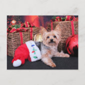 Kerstmis - Yorkshire Terrier - Vinnie Feestdagenkaart (Voorkant)