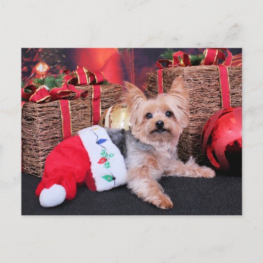 Kerstmis - Yorkshire Terrier - Vinnie Feestdagenkaart (Voorkant)