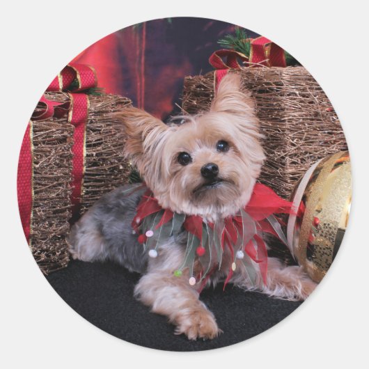 Kerstmis - Yorkshire Terrier - Vinnie Ronde Sticker (Voorkant)