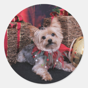 Kerstmis - Yorkshire Terrier - Vinnie Ronde Sticker
