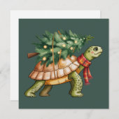 Kerstmis Zeeschildpad Liefhebber Geschenk Xmas Boo Feestdagenkaart (Voorkant / Achterkant)